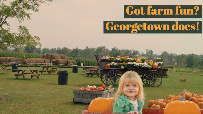 Got farm fun? Georgetown does!