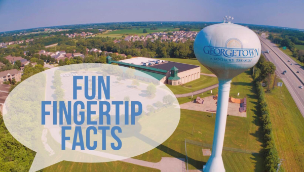 Fun Fingertip Facts