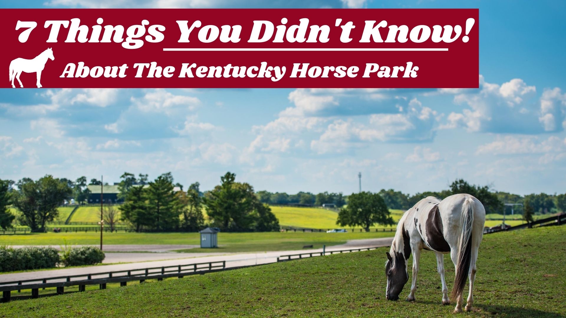 7 Things You Didn't Know About The Kentucky Horse Park