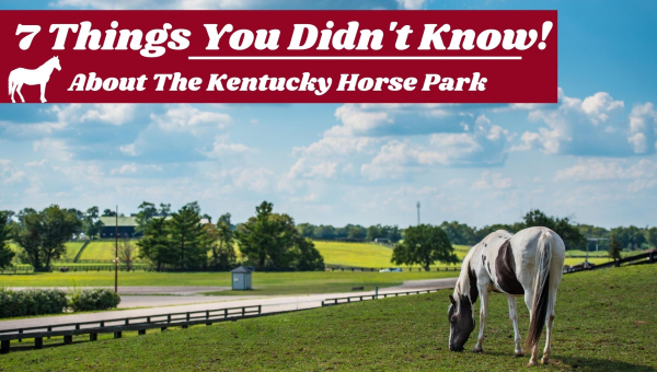 7 Things You Didn't Know About The Kentucky Horse Park