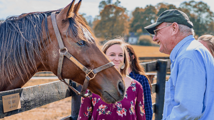 Kentucky Thoroughbred Retirement Farm Cares for Old Friends