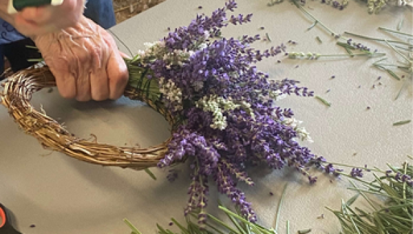 More Than Lavender Blooming at Gtown's Lavender in Bloom