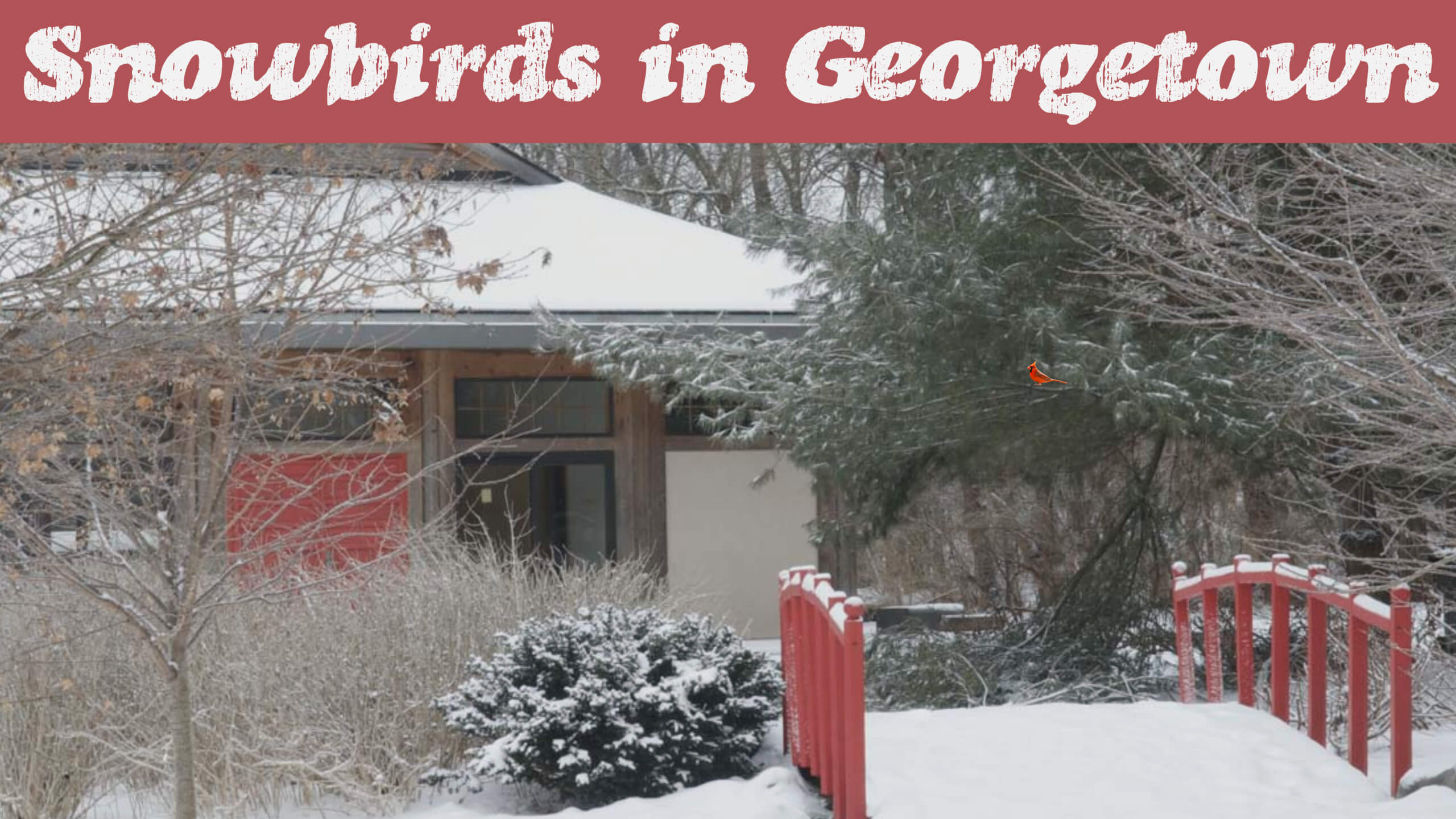 Whether Coming or Going, Snowbirds Will Want to Roost in Georgetown