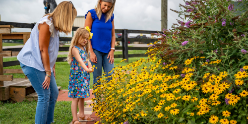 The Best Spring Blooms