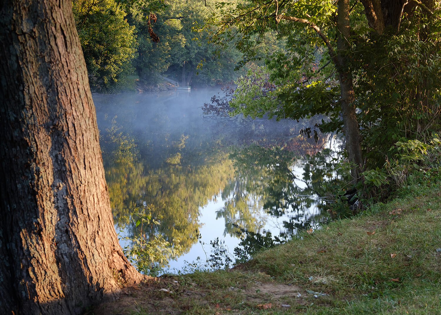 ElkhornCreek