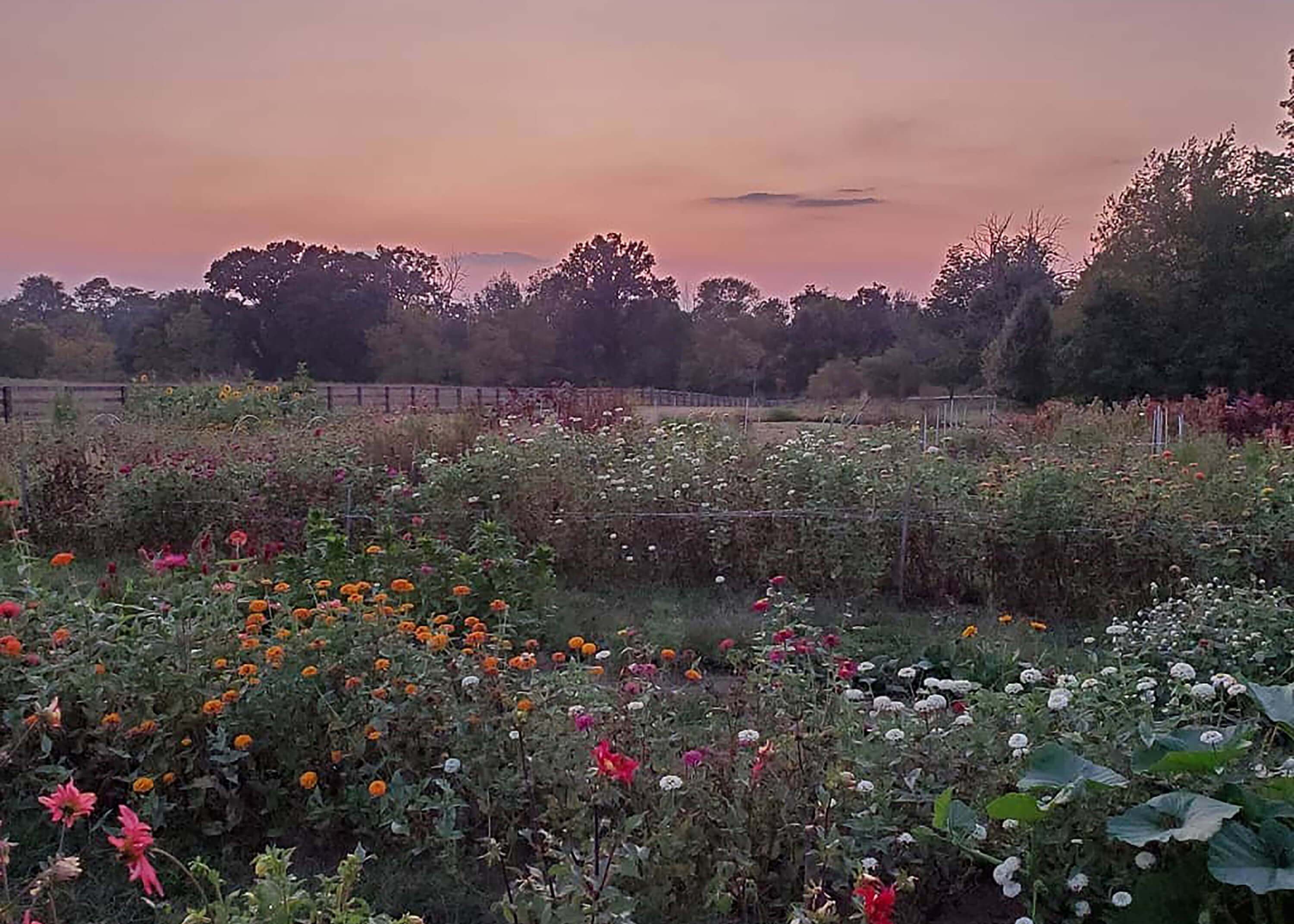 Farm at sunset in fall