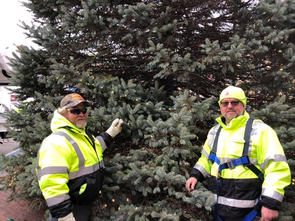 Public works Christmas Tree