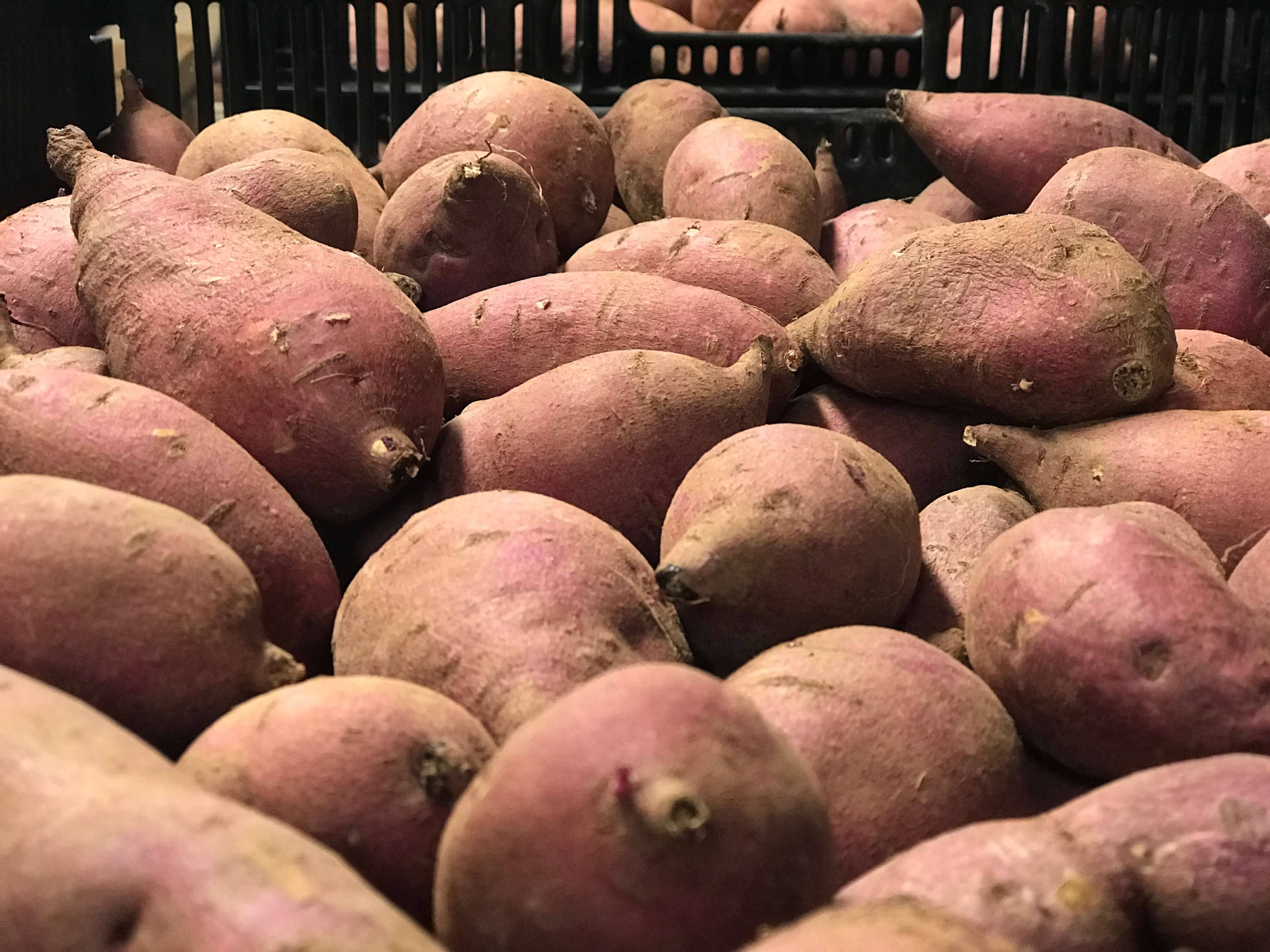 sweetPotatoes