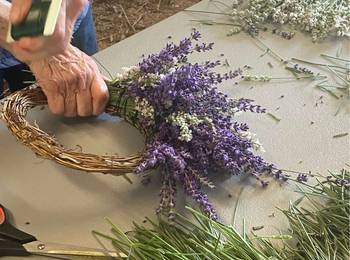 Lavender Wreath