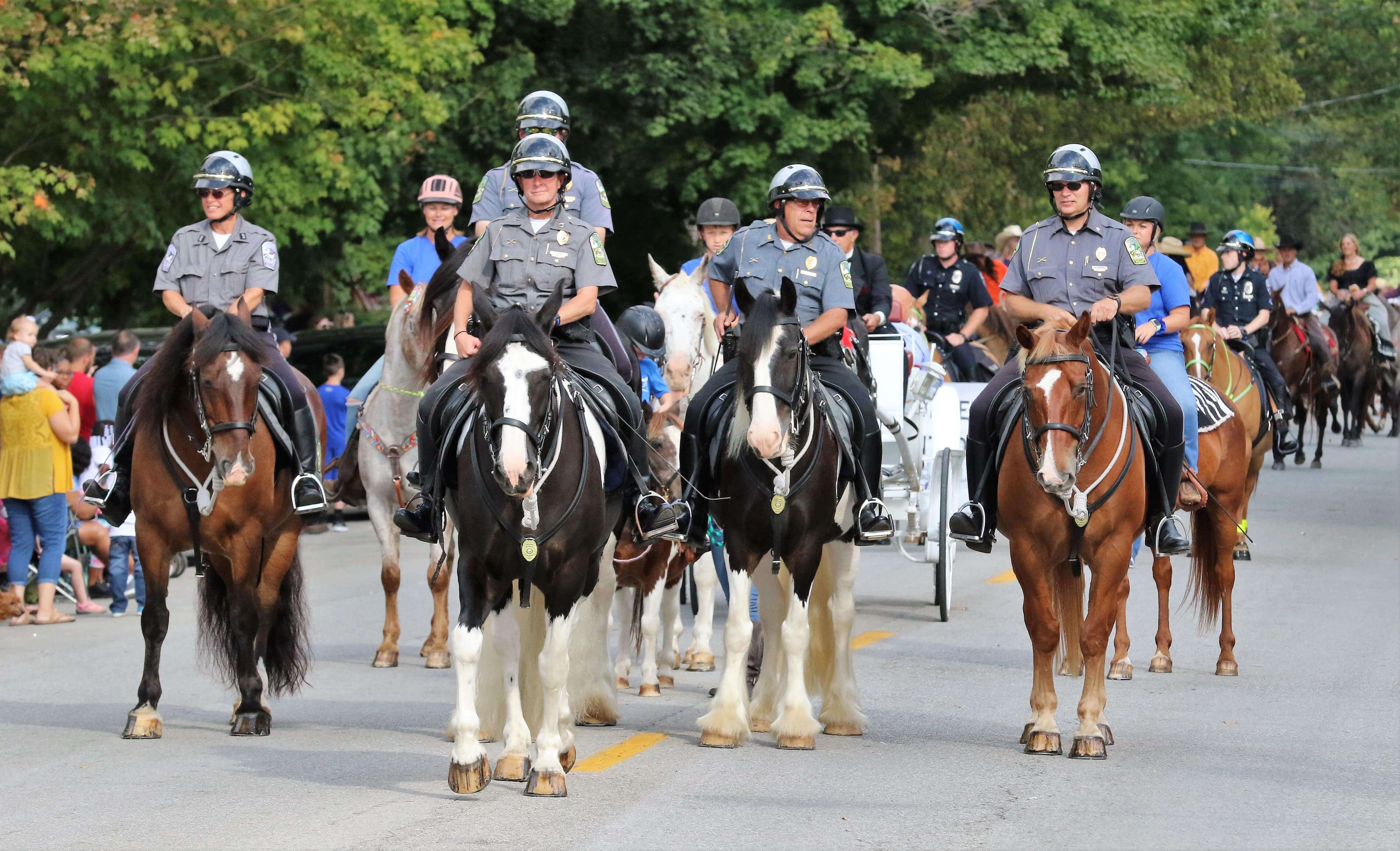 Grand Parade of Horses