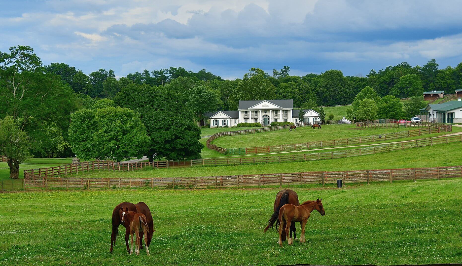 QueenslakeHorseFarm June2019B