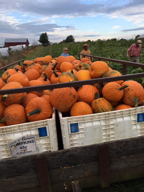 BiWaterFarm pumpkins