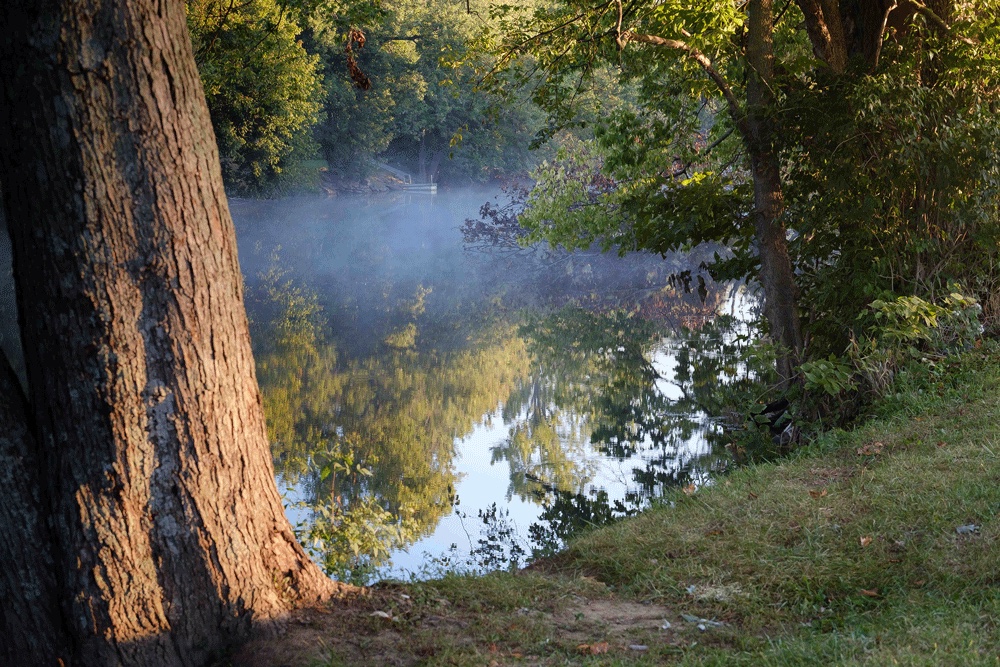 Elkhorn Creek