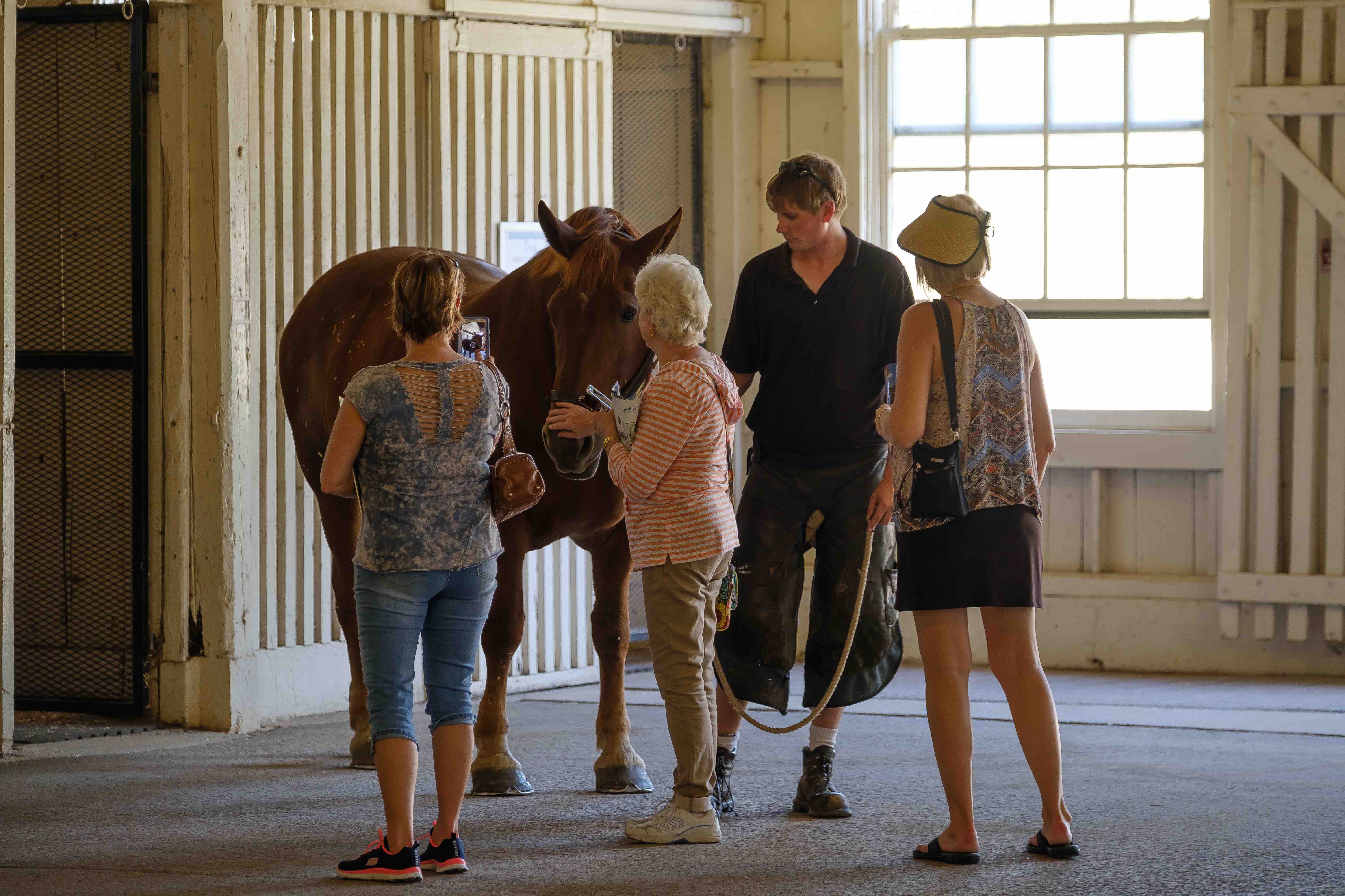 KY Horse Park horses blog