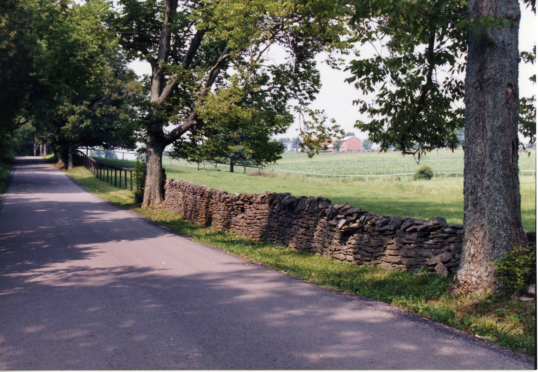 Stone Fence