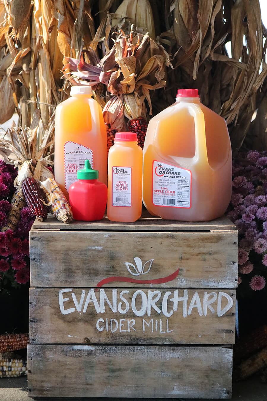 evans orchard cider gift guide