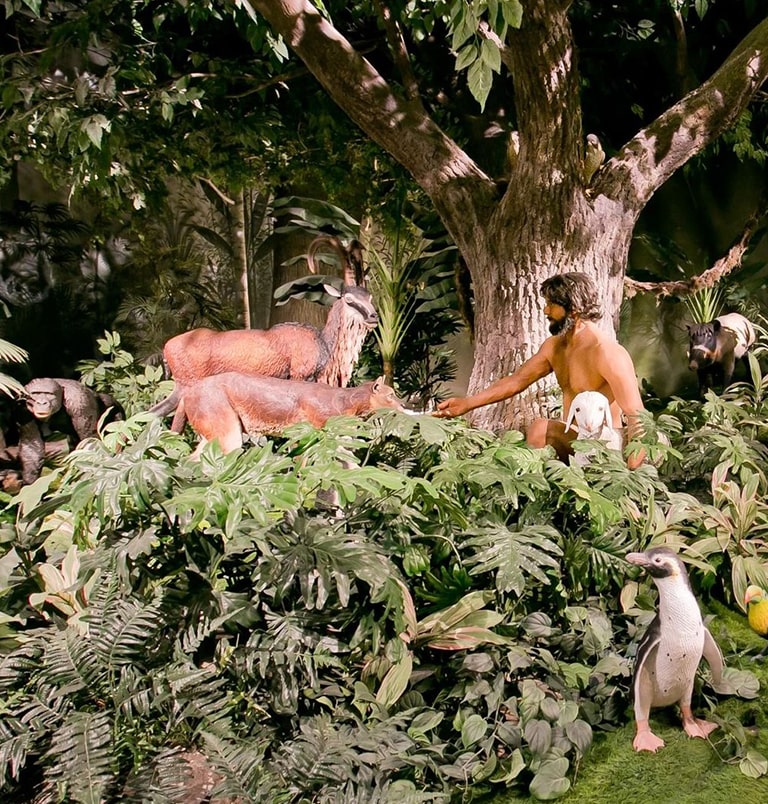 CreationMuseum-1