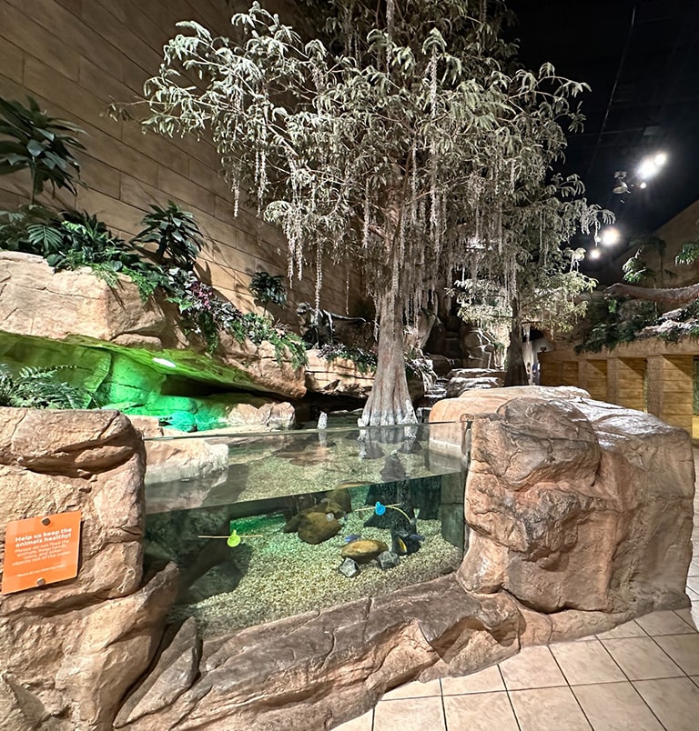 CreationMuseum-4